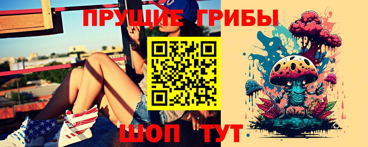 Галлюциногенные грибы Psilocybine cubensis Электрогорск