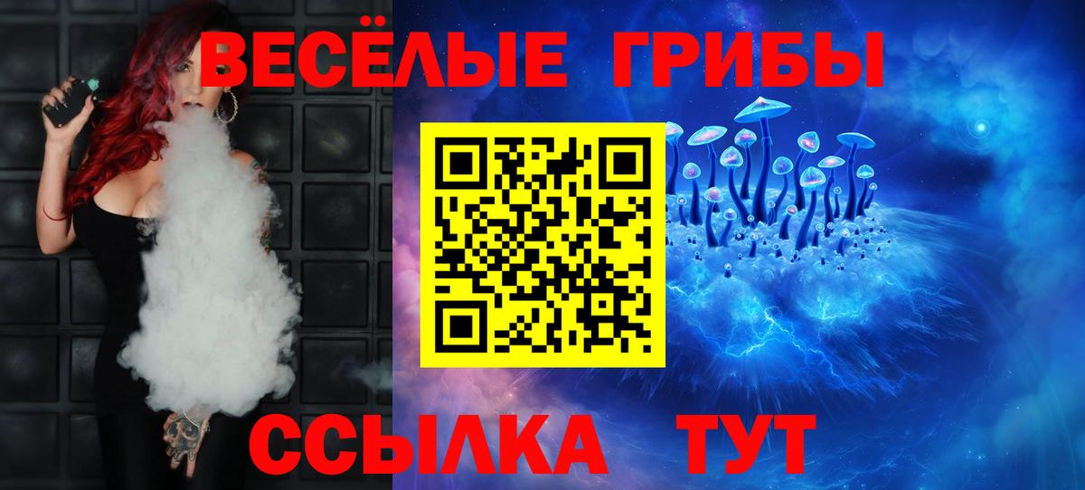 Электрогорск  Галлюциногенные грибы прущие грибы  Вход с VPN 